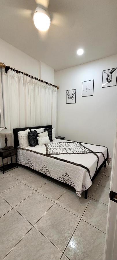 Villa Las Palmeras South Miami Exterior photo